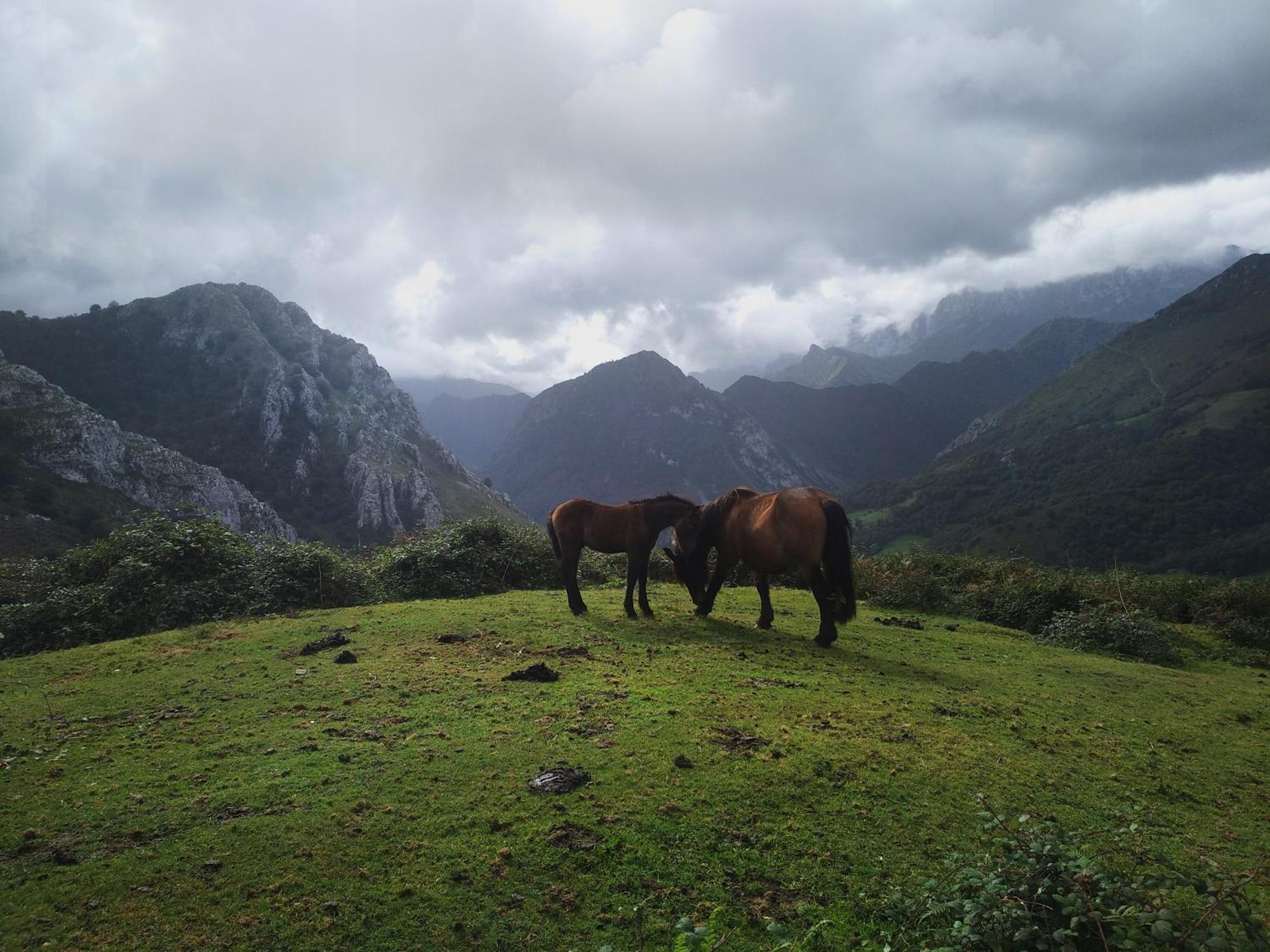 Belenos Alojamientos Turisticos Niembro Dış mekan fotoğraf